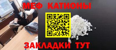 кокс Гатчина