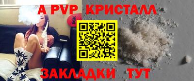 кокс Гатчина