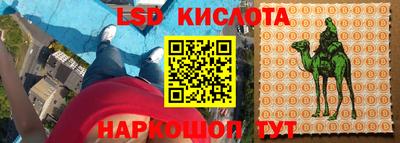 прущие грибы Гай