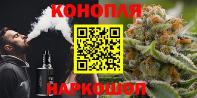 кокс Гатчина