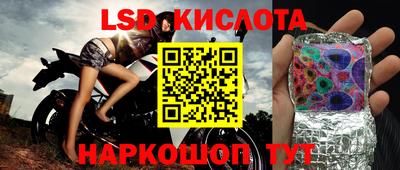 прущие грибы Гай