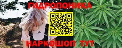 ПСИЛОЦИБИНОВЫЕ ГРИБЫ Гагарин