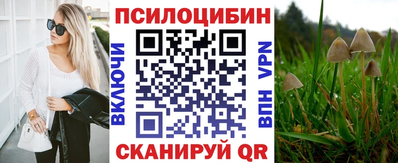 закладки  Ленинск-Кузнецкий  Галлюциногенные грибы Psilocybine cubensis 