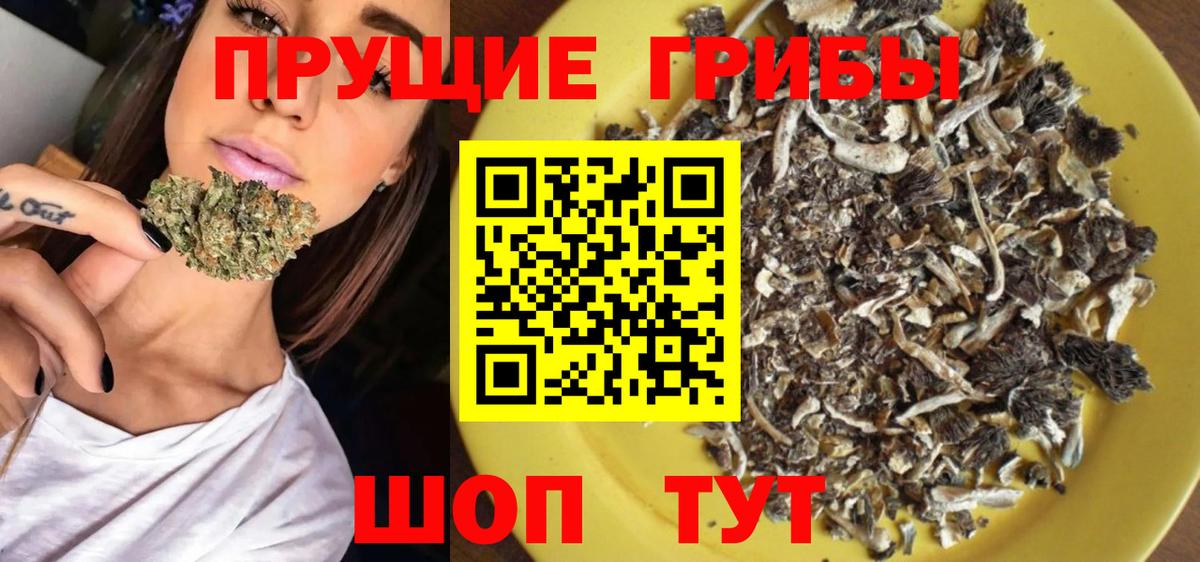 Псилоцибиновые грибы GOLDEN TEACHER  закладка  Псилоцибиновые грибы GOLDEN TEACHER  Ленинск-Кузнецкий  Вход с VPN 