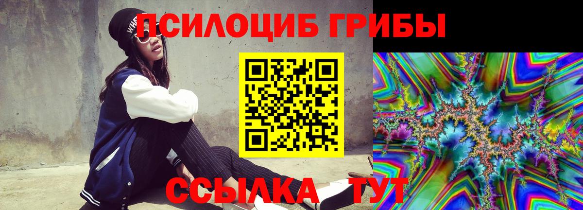 Псилоцибиновые грибы Psilocybine cubensis Ленинск-Кузнецкий