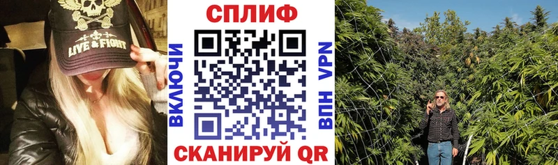 Каннабис тримм  купить  сайты  Ленинск-Кузнецкий 